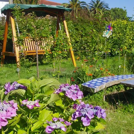 Bed & Breakfast D'hotes 